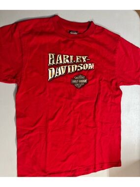 Harley Davidson Men’s T-Shirt Size L Red Graphic Logo Short Sleeve Tee